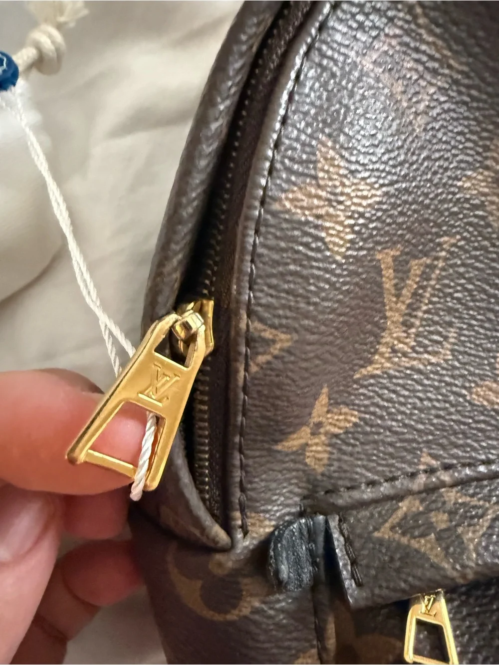 Louis vuitton mini palm springs backpack